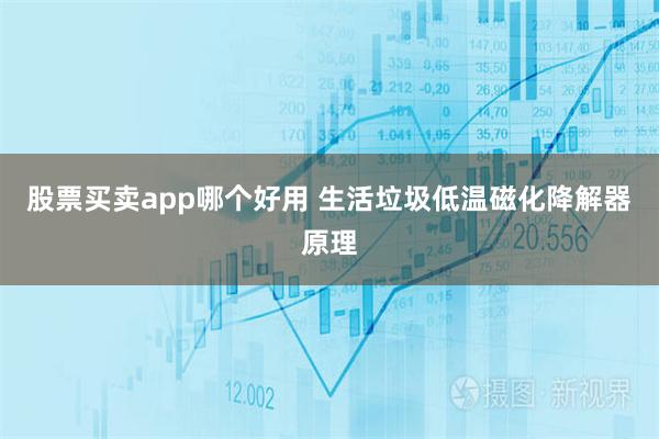 股票买卖app哪个好用 生活垃圾低温磁化降解器原理